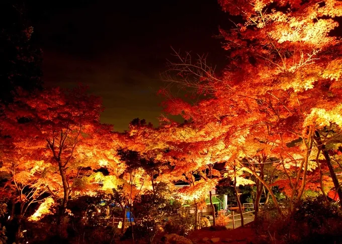 Núi Tsukuba nhìn từ xa
