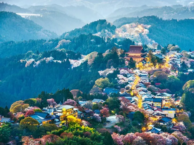 Núi Yoshino ngập tràn sắc hoa
