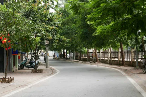 Phố Trịnh Công Sơn cách Hồ Tây khoảng 500m, gần khu đầm sen nổi tiếng bên hồ. Ảnh: Quý Đoàn.