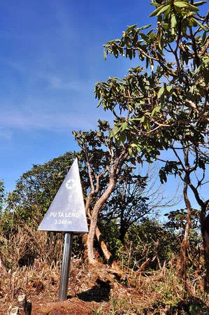 Phu Ta Leng - đỉnh núi hoang vu và hiểm trở