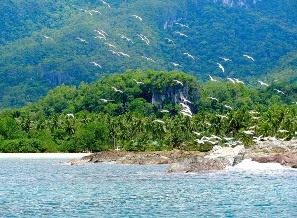 Puerta Princesa, Phillippines: Bãi biển hoang sơ và ẩm thực hấp dẫn