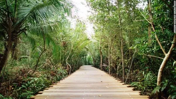 Pulau Ubin, Singapore: Với hệ sinh thái trù phú và độc đáo, hòn đảo nhỏ này chỉ cách đất liền khoảng 10 phút đi thuyền. Nơi đây có ngôi làng truyền thống cuối cùng của Singapore, với nhịp sống chậm rãi, thanh bình. Du khách có thể khám phá ẩm thực địa phương, tìm hiểu thế giới biển, ngắm nhìn các loài chim hay đạp xe vượt núi.