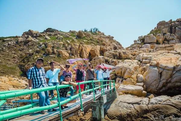 Quá trình thu hoạch tổ yến trên Đảo Yến