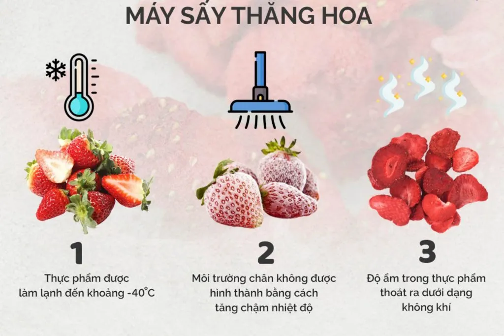 Quy trình sấy thăng hoa