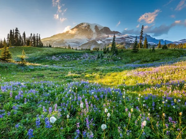 Rainier, Washington, Mỹ