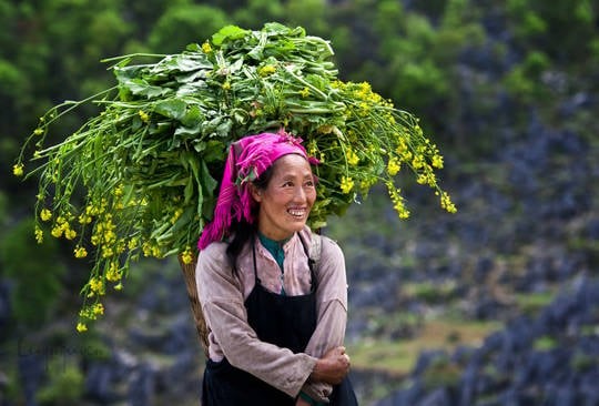 Rau tươi Sapa