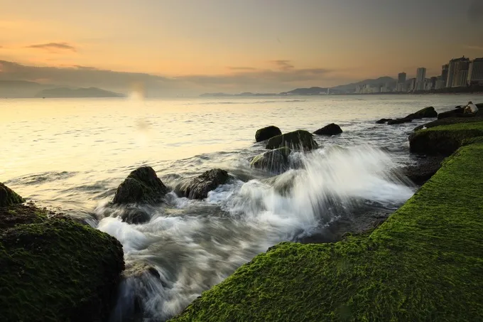 Rêu xanh phủ kín những tảng đá gần bờ biển Nha Trang.