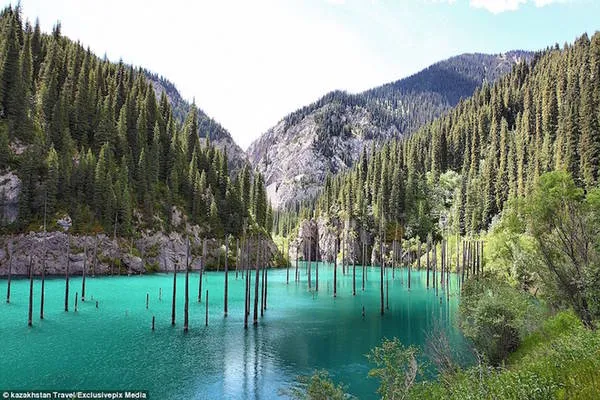 Rừng cây mọc ngược trong hồ Kaindy, Kazakhstan