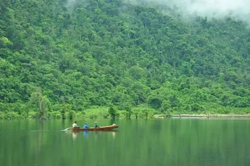 Rừng cây nổi trên mặt nước hồ Noong