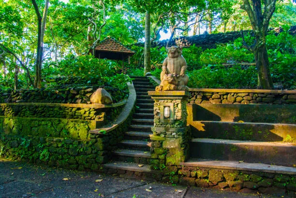 Rừng Kasugayama