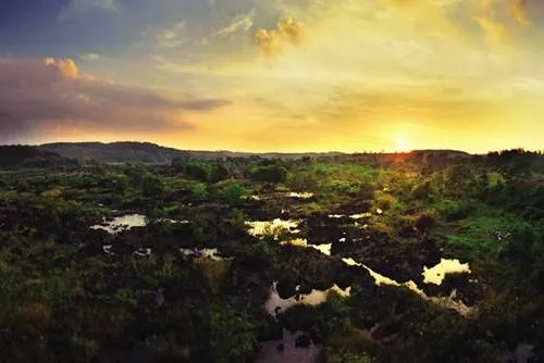 Rừng Mã Đà lúc chiều tà