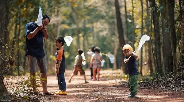 Rừng Nam Cát Tiên là điểm đến thu hút du khách với thiên nhiên đa dạng. Ảnh: ArTuan