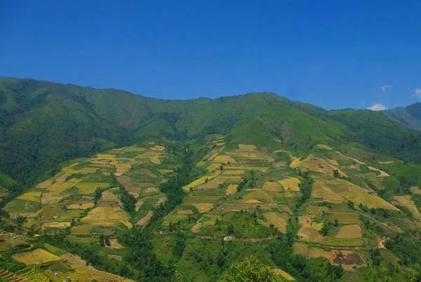 Ruộng bậc thang đa sắc màu ở Chiềng Ân, Sơn La