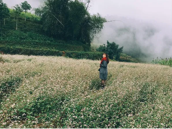 Ruộng bậc thang Hà Giang. Ảnh: @duongbaoha
