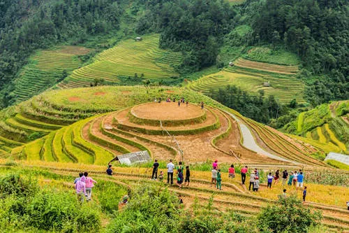Ruộng bậc thang Mù Cang Chải vào mùa gặt. Ảnh: Tuấn Trần.