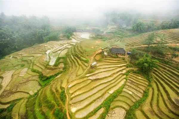 Ruộng bậc thang Sapa nhìn từ cáp treo Fansipan.