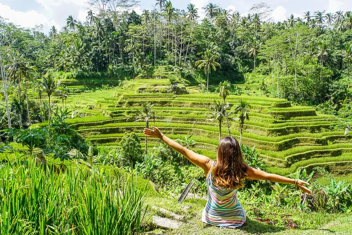 Ruộng bậc thang Tegalalang, Ubud