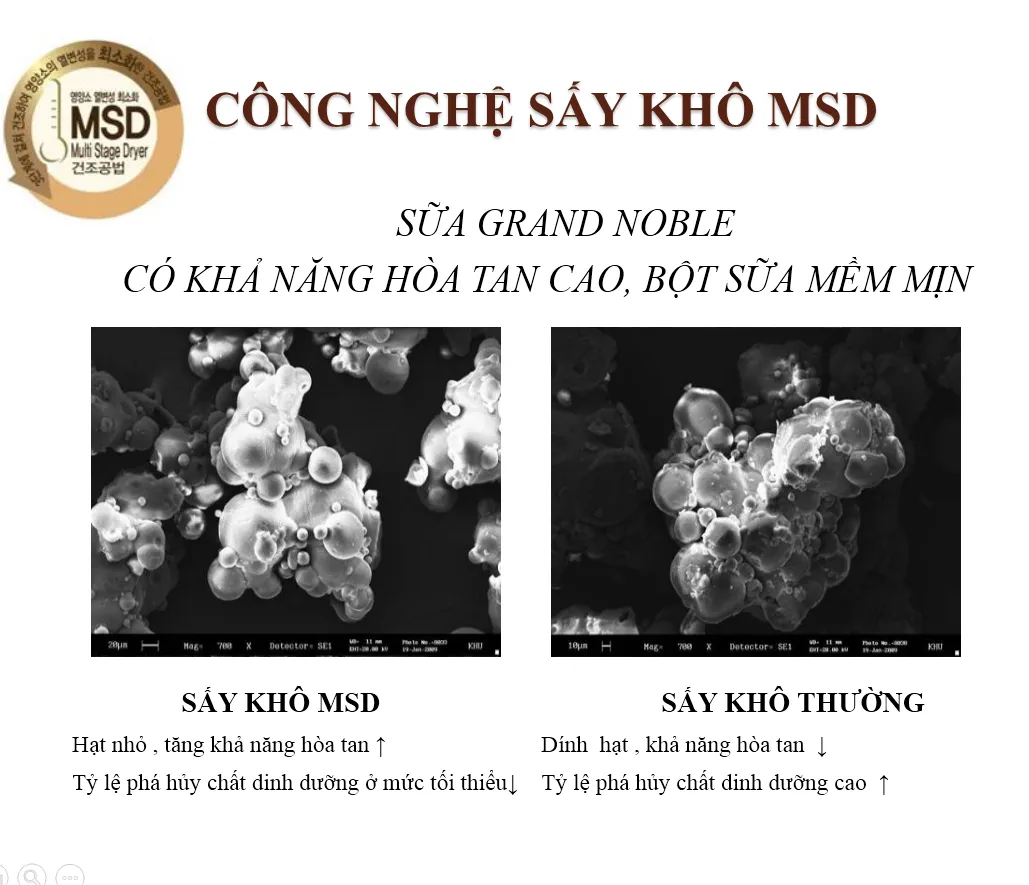 So sánh sữa sấy khô MSD và sữa sấy khô thường