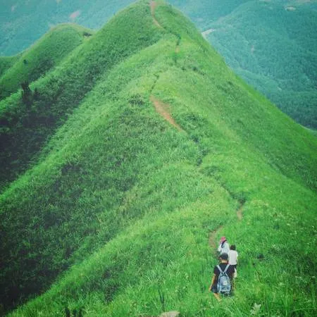Sống lưng khủng long mùa cỏ xanh. Ảnh: Huyennguyen/Instagram