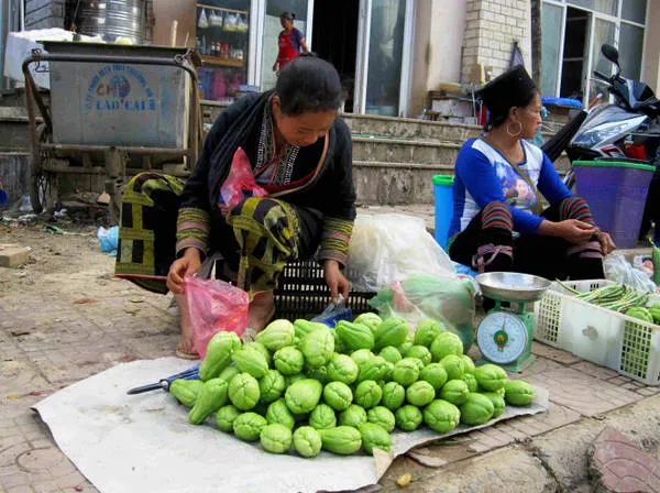 Su su được bày bán tại các chợ phiên ở Sapa - Ảnh: N.T.LƯỢNG
