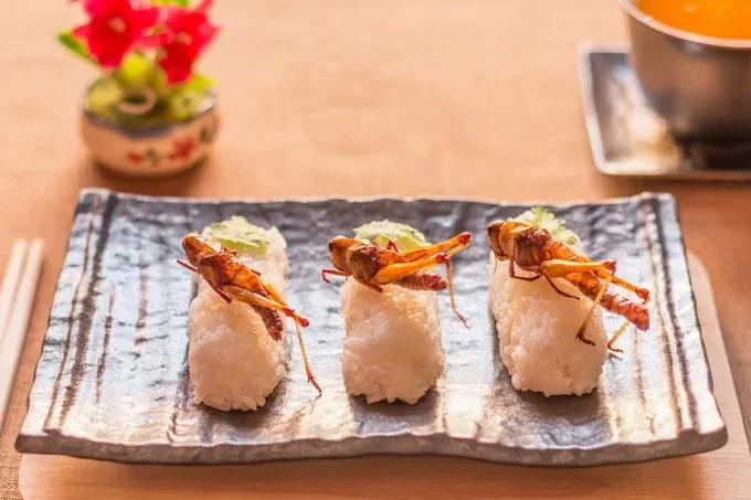 Sushi côn trùng - một biến tấu kỳ lạ của món sushi truyền thống. Ảnh: CK Bangkok.