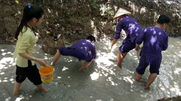 Tát mương bắt cá. Ảnh: Thành Trần Minh