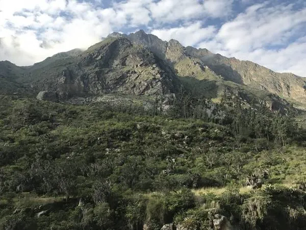 Tàu đến Aguas Calientes được thiết kế hiện đại, thoải mái với cửa sổ lớn giúp du khách thưởng ngoạn cảnh quan hùng vĩ trên đường đi.
