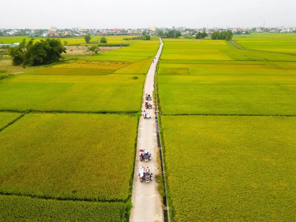 Thăm phố cổ Hội An và làng rau Trà Quế bằng tour xe sidecar