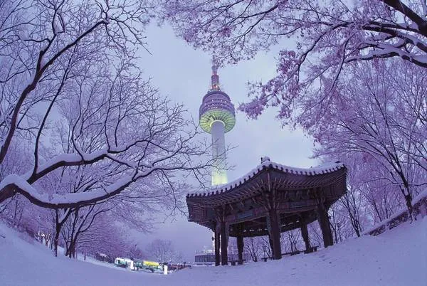 Tháp Namsan rực rỡ với hệ thống đèn chiếu sáng đổi màu liên tục, tạo nên một cảnh tượng ngoạn mục. Ảnh: gajakorea.wordpress.com