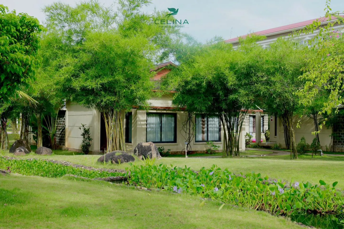 Thiên nhiên xanh mát tại resort