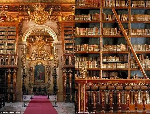 Thư viện Joanina, Bồ Đào Nha với kiến trúc Baroque lộng lẫy (Nguồn: Daily Mail)