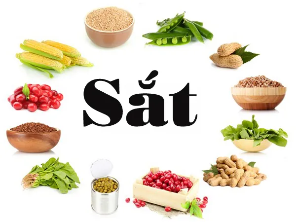 Thực phẩm giàu sắt cho bà bầu