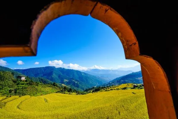 Thung lũng Punakha mùa lúa chín. Ảnh: Nguyễn Thanh Tùng