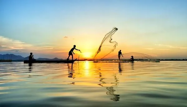 Thuyền bè giăng câu, thả lưới trên cánh đồng An Giang mùa nước nổi.