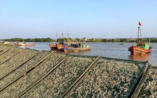 Toàn cảnh cánh đồng muối Diêm Điền dưới nắng. Ảnh: Băng Giang