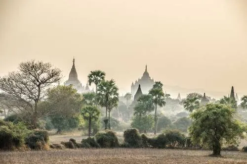 Toàn cảnh đền chùa Bagan lúc bình minh. Nguồn ảnh: sharkingforchipsanddrinks.
