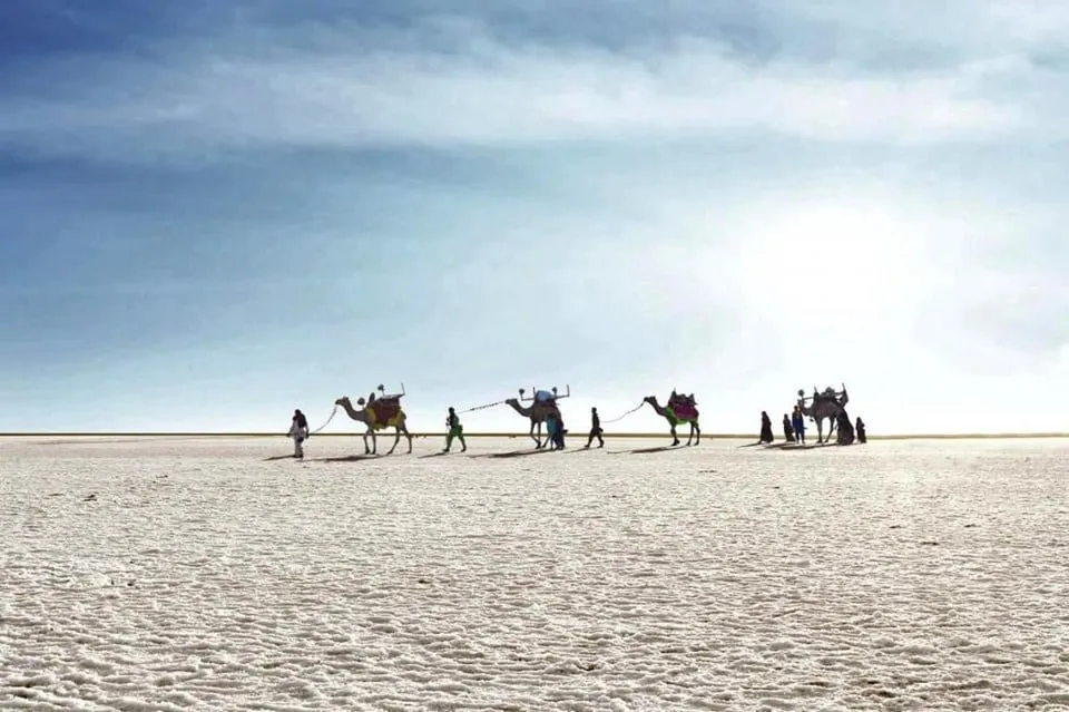 Toàn cảnh đồng bằng muối trắng xóa Rann of Kutch tại Ấn Độ dưới ánh nắng mặt trời. Ảnh: Journeyplanner.