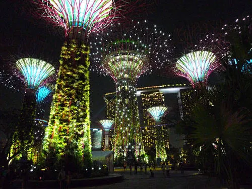Toàn cảnh Gardens by the Bay lung rực ánh đèn