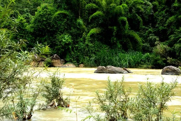 Toàn cảnh khu du lịch Madagui với rừng cây xanh mướt, sông suối uốn lượn