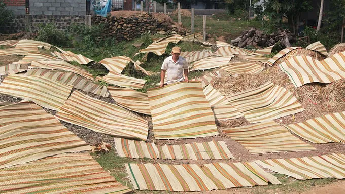 Toàn cảnh làng nghề dệt chiếu cói Phú Tân tại Phú Yên.