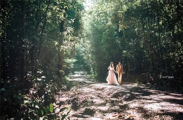 Toàn cảnh rừng Mã Đà