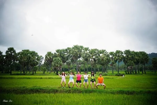 Toàn cảnh rừng tràm Trà Sư mùa nước nổi với bèo xanh phủ kín mặt nước và cây cối xanh tươi.