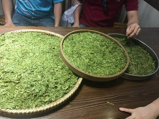 Trà Long Tỉnh – Đặc sản Hàng Châu.