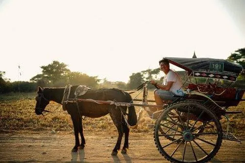 Trải nghiệm xe ngựa - phương tiện giao thông đặc trưng của Bagan