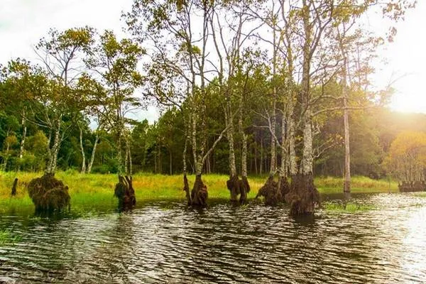 Tránh chèo thuyền sát bờ vì cỏ lau và gai có thể làm rách thuyền.