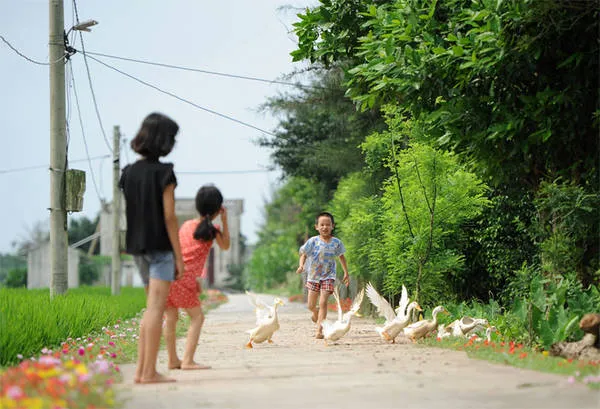 Trẻ em vui chơi trên con đường hoa