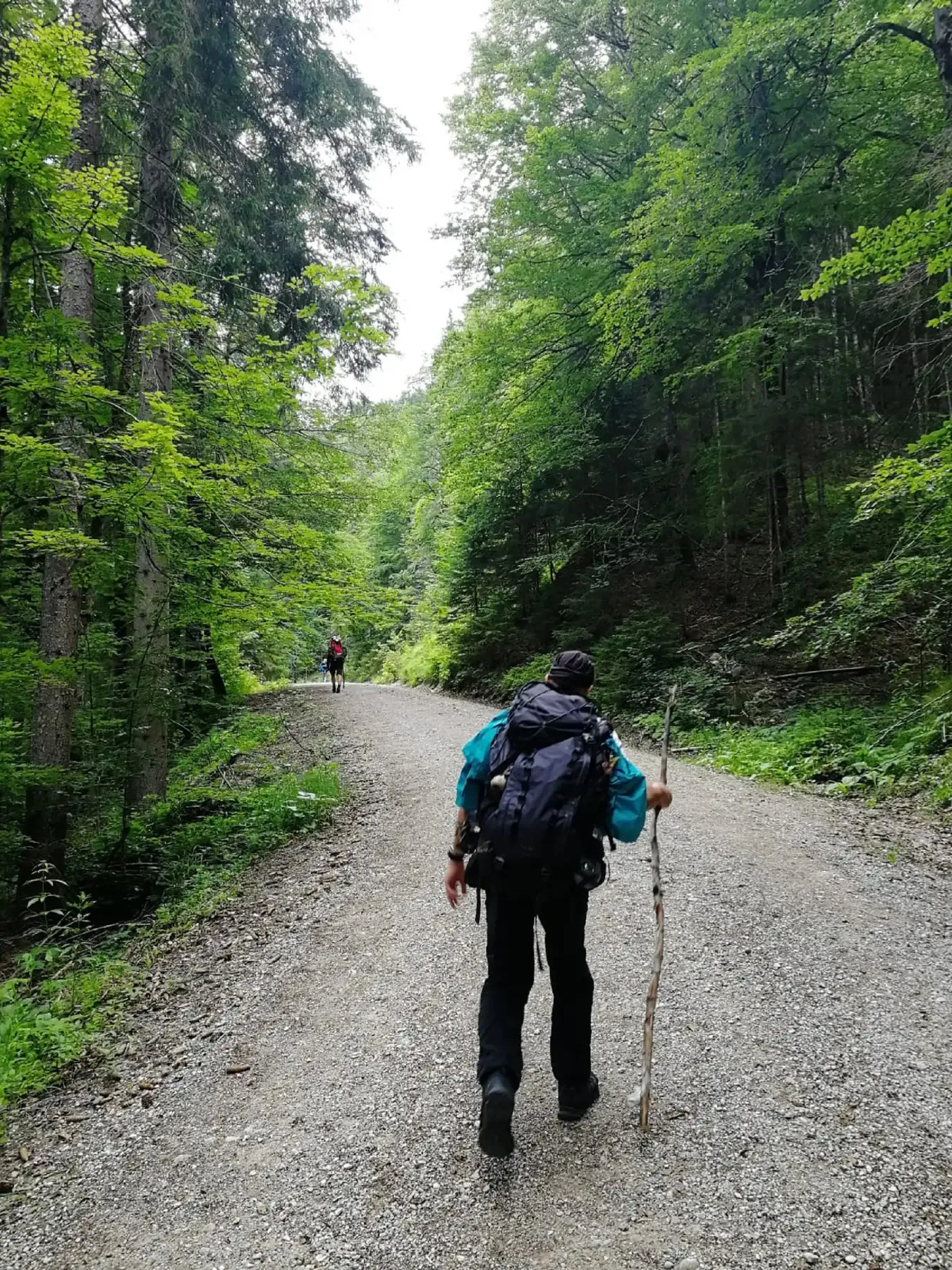 Trekking lên núi Zugspitze