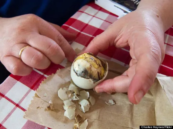 Trứng vịt lộn Balut - Món ăn độc đáo của Philippines