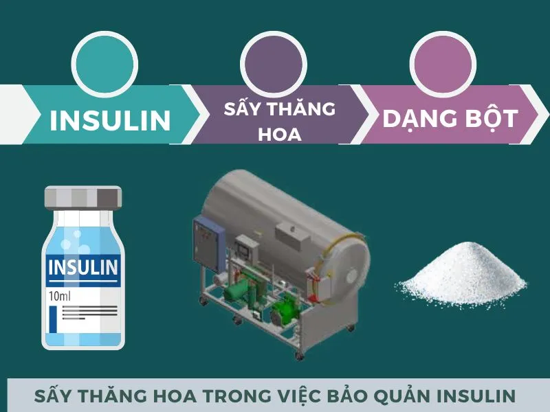 Ứng dụng sấy thăng hoa trong dược phẩm