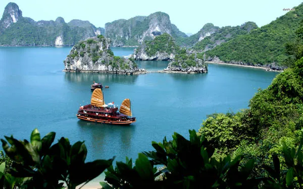 Vịnh Hạ Long về đêm. Ảnh: rokotravel.com